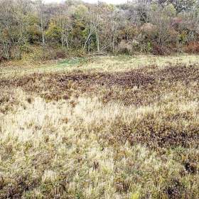 Foto inzerátu Prodej stavebního pozemku 928 m², Úvaly u Prahy, Praha – východ