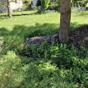Foto inzerátu Prodej stavebního pozemku 1394 m² Srbsko u Karlštejna, okr. Beroun