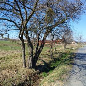 Foto inzerátu stavební pozemek Komorní Lhota 900 m2