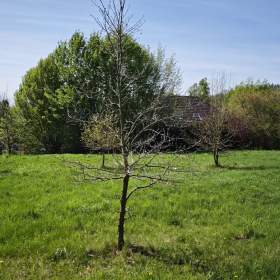 Foto inzerátu Prodej stavebního pozemku 2518 m² Velké Popovice - Brtnice, Praha - východ