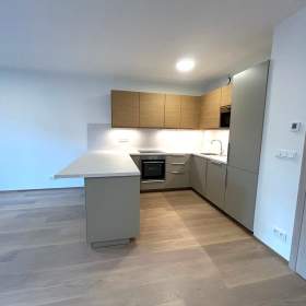 Pronájem novostavby bytu 3+kk/B, 94 m2, S/2xGS/Z, 1. NP, Riegrova, Černošice, Praha- západ / 19408941