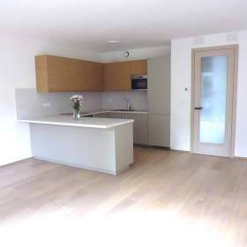 Pronájem novostavby bytu 3+kk, 94 m2/B/GS/Z, 1. NP, Riegrova, Černošice, Praha- západ / 19408941