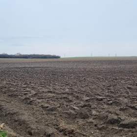 Prodej pozemku 3000m2, orná půda, Praha 20, Horní Počernice / 19409866