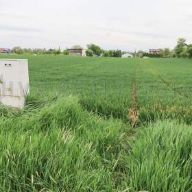Prodej pozemku, stavební -  bydlení, 1247 m2, OV Koblov, okr. Ostrava / 19430663