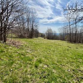 Pronájem stavebního pozemku 1401 m2, Velké Hamry, okres Jablonec nad Nisou / 19442449