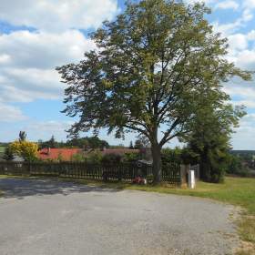 Prodej pozemku 1339m2. Borovany, okr. Písek / 19446783