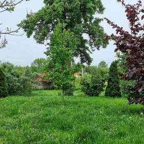 Foto inzerátu Prodej RD 3+kk, 85m2, pozemek 1226m2, Zaříčany, okr. Kutná Hora