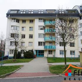 Pronájem prostorného bytu 1+kk s lodžií, 34 m2, Ostrava -  Bělský Les, ul. Horní / 19459959