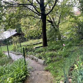 Foto inzerátu Prodej chaty 2+1 na stavebním pozemku 401 m2, Lety, ul. Na Skalkách