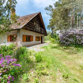 Foto inzerátu Prodej chaty 119 m2, pozemek 3134 m2, Tišice - Kozly, okr. Mělník