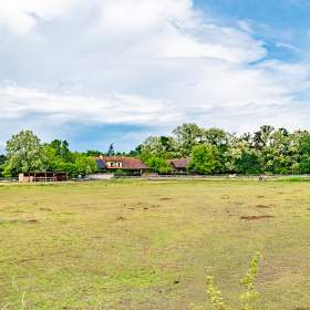 Foto inzerátu Prodej chaty 119 m2, pozemek 3134 m2, Tišice - Kozly, okr. Mělník