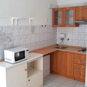 Pronájem bytu 1+1 s balkonem, 44 m2, 4. p. s výtahem, centrum města, Praha 2 -  Vinohrady, Anglická / 19471463