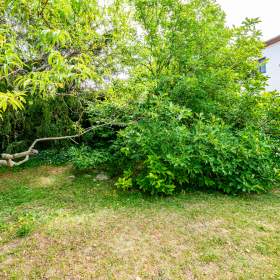 Prodej zahrady o velikosti 71 m2, OV, Praha 6 -  Břevnov, ul. Nad Motolskou nemocnicí / 19515061