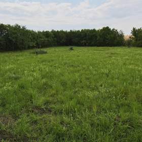 Foto inzerátu Prodej stavebního pozemku 1000 m², Svídnice, okr. Nymburk
