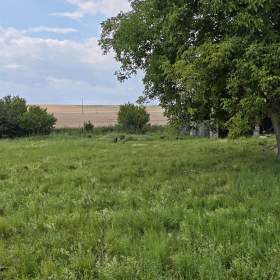Foto inzerátu Prodej stavebního pozemku 1000 m², Svídnice, okr. Nymburk