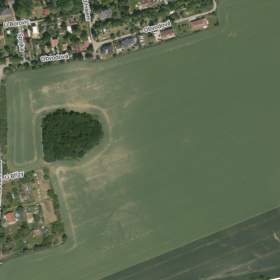 Prodej pozemku o velikosti 4615 m2 + podíl na přístup. cestě, obec Zdiby, část obce Brnky / 19534526