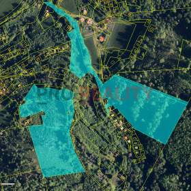 prodej lesního pozemku Třinec Tyra 102 140m2 / 19587758