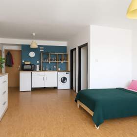 Pronájem, útulná garsonka, v centru Ostravy, Hornopolní, částečně zařízená. / 19591124