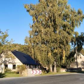 Prodej zemědělské usedlosti 5+1 na pozemku 2570m2 v obci Třebčice okr. Plzeň- jih / 19594631