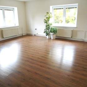 Pronájem, byt 2+1 os. vl., 75 m2, OV Nová Ves, ul. Fričova / 19618929