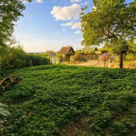 Foto inzerátu Prodej pozemku 133 m2 s chatou 10 m2, Říčany u Prahy
