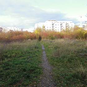 Prodej stavebního pozemku 12 423 m2 pro sportovně komerční výstavbu, Praha 5- Stodůlky / 19650333