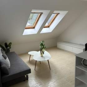 Foto inzerátu Prodej bytu 2+kk, 31 m2, podkroví, terasa, sklep, parkování Horní Planá