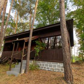Prodej chaty 2+1, 50 m2, pozemek 228 m2, Lažánky, okr. Strakonice / 19853150