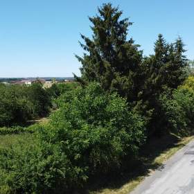 Foto inzerátu Prodej RD 80 m², zemědělská budova 220 m², pozemek 2600 m², Svrkyně, okr. Praha-západ.