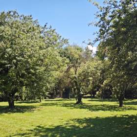 Foto inzerátu Prodej stavebního pozemku 1100 m², Suchdol, okr. Kutná Hora.