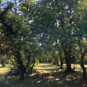 Foto inzerátu Prodej stavebního pozemku 1100 m², Suchdol, okr. Kutná Hora.