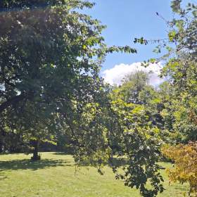 Foto inzerátu Prodej stavebního pozemku 1100 m², Suchdol, okr. Kutná Hora.
