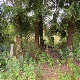 Prodej chaty 1+1 na stavebním pozemku 511 m2, Sklenský vrch, Rotava, Karlovarský kraj / 19915043