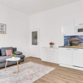 Foto inzerátu Prodej bytu 2+kk, OV, 42 m2, ulice Petrská, Praha 1 - Nově Město