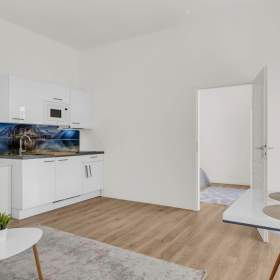 Foto inzerátu Prodej bytu 2+kk, OV, 42 m2, ulice Petrská, Praha 1 - Nově Město