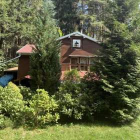 Prodej domku na polosamotě u lesa – 2+1 se zahradou, pozemek 825m², Bilina, okr. Písek / 19944160