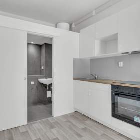 Prodej bytu 1+kk, 24,6 m2 + 6 m2 patro na spaní, OV, Praha 3 - Žižkov / 19949073