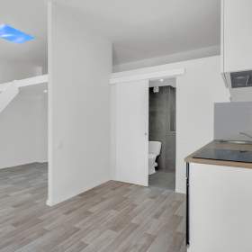 Prodej bytu 1+kk, 24,6 m2 + 6 m2 patro na spaní, OV, Praha 3 -  Žižkov / 19949073