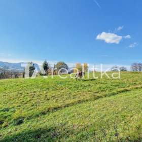 Prodej, pozemek, 1994 m2 / 19648284