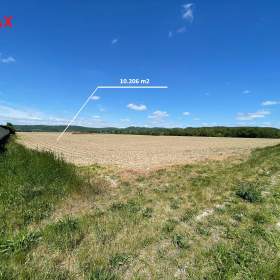 Prodej zemědělského pozemku o výměře 10206 m2, obec Dolany / 18402904