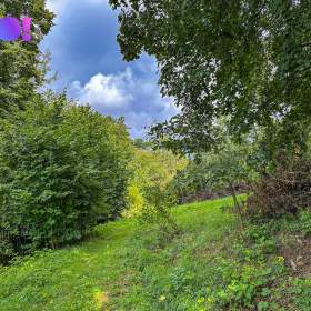 Foto inzerátu Prodej pozemku pro bydlení 3959 m², Skuhrov