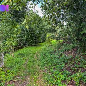 Foto inzerátu Prodej pozemku pro bydlení 3959 m², Skuhrov