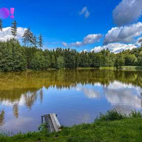 Foto inzerátu Prodej pozemku pro bydlení 3959 m², Skuhrov