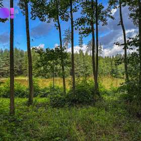 Foto inzerátu Prodej pozemku pro bydlení 3959 m², Skuhrov