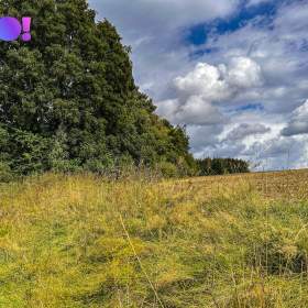 Foto inzerátu Prodej pozemku pro bydlení 3959 m², Skuhrov