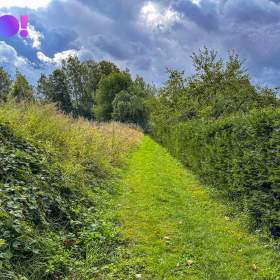 Foto inzerátu Prodej pozemku pro bydlení 3959 m², Skuhrov