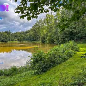 Foto inzerátu Prodej pozemku pro bydlení 3959 m², Skuhrov