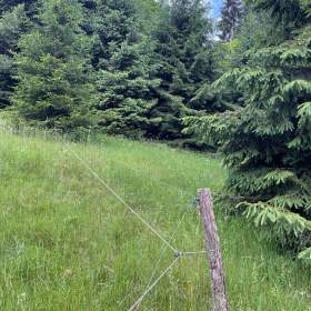 Prodej lesa 2 393 m², Staré Hamry / 19208343