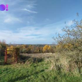 Prodej zahrady se zděnou chatou, pozemek 1 198 m², Dolní Těrlicko / 19236528