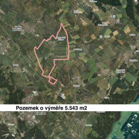 Prodej pole, 5543 m², Moravský Žižkov / 19297630